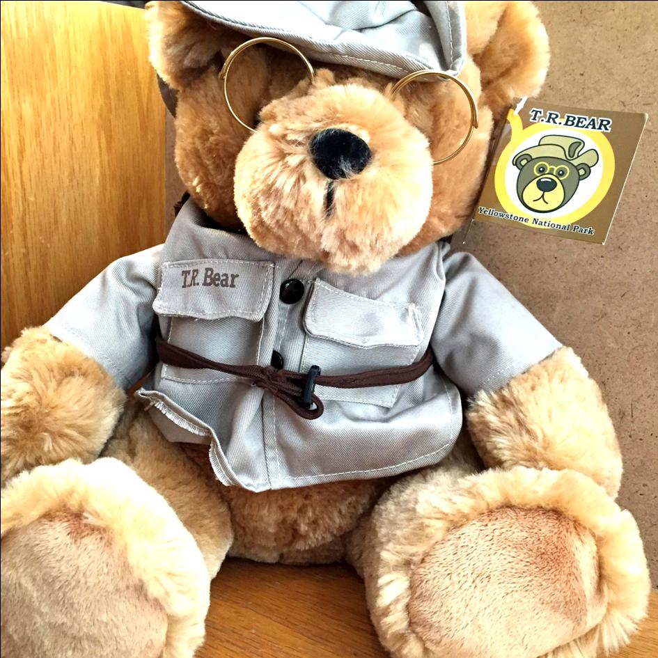 r collection teddy