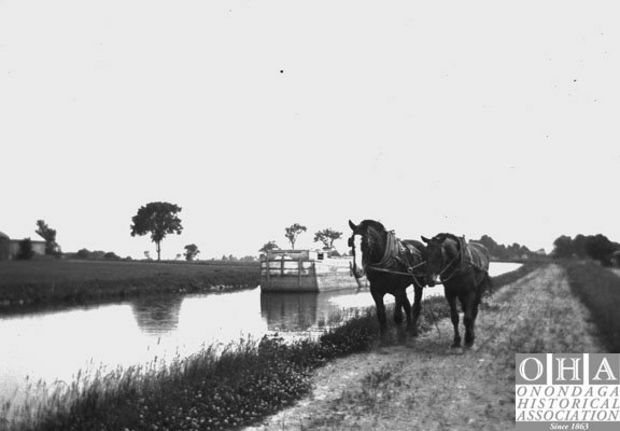 mules-on-towpath-pulling-boat on Erie Canal