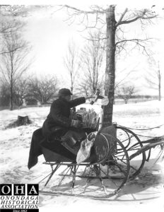 Manlius Mailman delivering mail in Sleighs